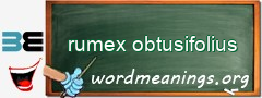 WordMeaning blackboard for rumex obtusifolius